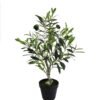 Artificial Tree 60cm Anti-UV Plastic pole olive Tree 204LVS GS-66021041-UV Artificial Tree 60cm Anti-UV Plastic pole olive Tree /204LVS GS-66021041-UV Tree&Plant YeahFlower is one of Chinese leading OEM manufacturers and exporters , supplying the silk flowers, wholesale artificial trees