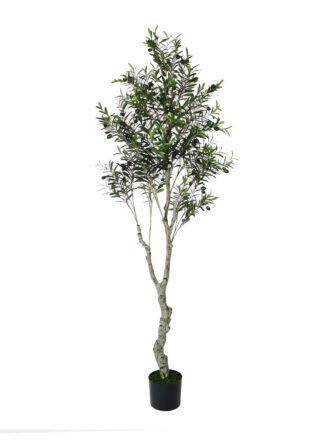 Artificial Tree 60cm Anti-UV Plastic pole olive Tree /204LVS GS-66021046-UV Tree&Plant 3,000+ sqm showroom with thousands of artificial flowers, plants & trees ready for global sourcing.