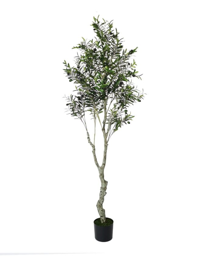 Artificial Tree 60cm Anti-UV Plastic pole olive Tree 204LVS GS-66021045-UV Artificial Tree 60cm Anti-UV Plastic pole olive Tree /204LVS GS-66021045-UV Tree&Plant YeahFlower is one of Chinese leading OEM manufacturers and exporters , supplying the silk flowers, wholesale artificial trees
