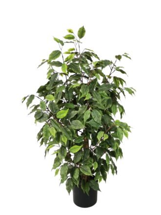 Artificial Tree 150cm Anti-UV Ficus Tree*3 /1056lvs GS-66021090-UV Tree&Plant 3,000+ sqm showroom with thousands of artificial flowers, plants & trees ready for global sourcing.