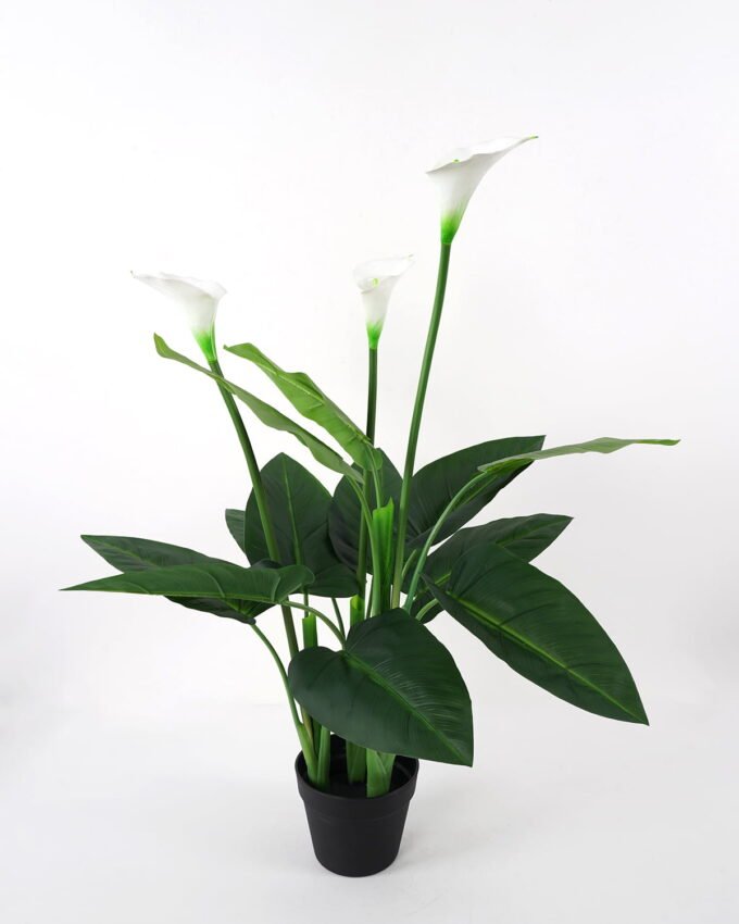 Artificial Tree 50*60*98cm Calla in PE pot w/15lvs/3flowers GS-35321004P0P4 Tree&Plant YeahFlower is one of Chinese leading OEM manufacturers and exporters , supplying the silk flowers, wholesale artificial trees
