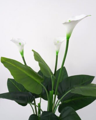 Artificial Tree 50*60*98cm Calla in PE pot w/15lvs/3flowers GS-35321004P0P4 Tree&Plant YeahFlower is one of Chinese leading OEM manufacturers and exporters , supplying the silk flowers, wholesale artificial trees