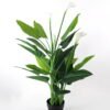 Artificial Tree 58*60*124cm Calla in PE pot w/27lvs/4flowers GS-35321003P0P2 Tree&Plant YeahFlower is one of Chinese leading OEM manufacturers and exporters , supplying the silk flowers, wholesale artificial trees