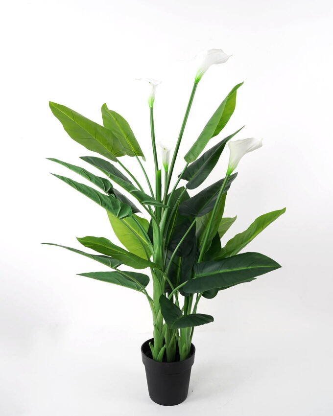 Artificial Tree 58*60*124cm Calla in PE pot w/27lvs/4flowers GS-35321003P0P2 Tree&Plant YeahFlower is one of Chinese leading OEM manufacturers and exporters , supplying the silk flowers, wholesale artificial trees