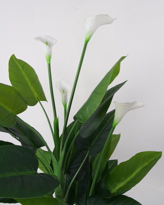 Artificial Tree 58*60*124cm Calla in PE pot w/27lvs/4flowers GS-35321003P0P2 Tree&Plant YeahFlower is one of Chinese leading OEM manufacturers and exporters , supplying the silk flowers, wholesale artificial trees