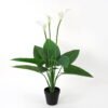 Artificial Tree 43*43*70cm Calla in PE potw/10lvs/3flowers GS-35321006P0P8 Tree&Plant YeahFlower is one of Chinese leading OEM manufacturers and exporters , supplying the silk flowers, wholesale artificial trees