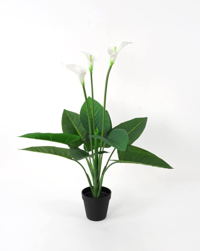 Artificial Tree 43*43*70cm Calla in PE potw/10lvs/3flowers GS-35321006P0P8 Tree&Plant YeahFlower is one of Chinese leading OEM manufacturers and exporters , supplying the silk flowers, wholesale artificial trees