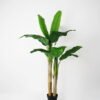 Artificial Tree H:150CM Potted banana tree *2/lvs15 GS-59521035 Tree&Plant YeahFlower is one of Chinese leading OEM manufacturers and exporters , supplying the silk flowers, wholesale artificial trees