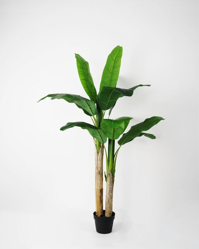 Artificial Tree H:150CM Potted banana tree *2/lvs15 GS-59521035 Tree&Plant YeahFlower is one of Chinese leading OEM manufacturers and exporters , supplying the silk flowers, wholesale artificial trees