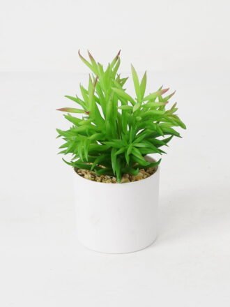 Artificial succulent 18*15*39CM Succulent plants in plastic pot GS-51720214 Succulent YeahFlower is one of Chinese leading OEM manufacturers and exporters , supplying the silk flowers, wholesale artificial trees