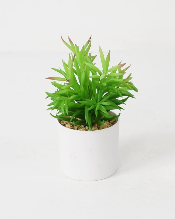 Artificial succulent 14*14*17cm Succulent in Ceramic-like Melamine pot GS-51721137 Succulent YeahFlower is one of Chinese leading OEM manufacturers and exporters , supplying the silk flowers, wholesale artificial trees