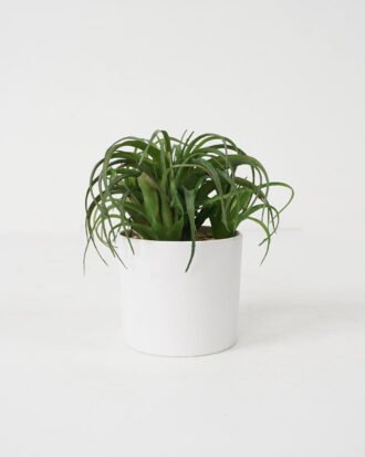 Artificial succulent 12*12*14cm Succulent in Ceramic-like Melamine pot GS-51721138 Succulent YeahFlower is one of Chinese leading OEM manufacturers and exporters , supplying the silk flowers, wholesale artificial trees