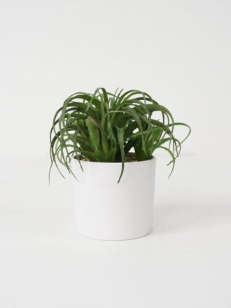Artificial succulent 6*11*9cm Succulent in ceramic pot GS-51721139 Succulent 3,000+ sqm showroom with thousands of artificial flowers, plants & trees ready for global sourcing.