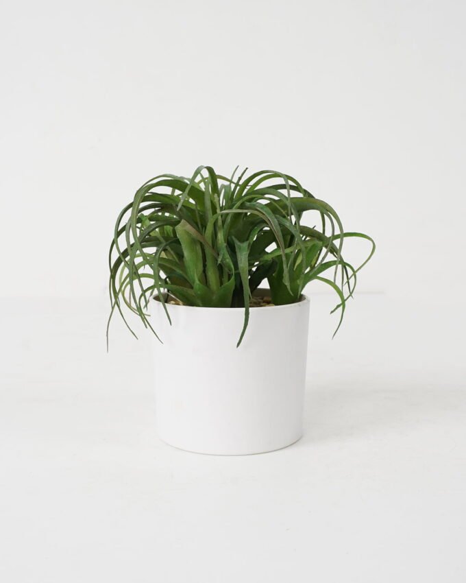 Artificial succulent 12*12*14cm Succulent in Ceramic-like Melamine pot GS-51721138 Succulent YeahFlower is one of Chinese leading OEM manufacturers and exporters , supplying the silk flowers, wholesale artificial trees