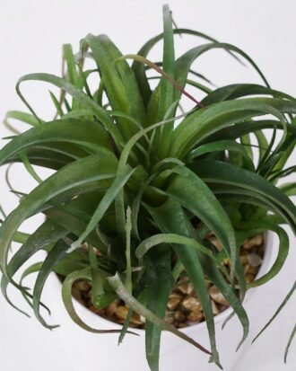 Artificial succulent 12*12*14cm Succulent in Ceramic-like Melamine pot GS-51721138 Succulent YeahFlower is one of Chinese leading OEM manufacturers and exporters , supplying the silk flowers, wholesale artificial trees