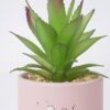 Artificial succulent 9*9*17cm Succulent in ceramic pot GS-51721121 Succulent YeahFlower is one of Chinese leading OEM manufacturers and exporters , supplying the silk flowers, wholesale artificial trees