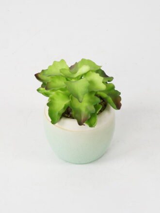 Artificial succulent 8*8*12cm Succulent in ceramic pot GS-51721125 Succulent 3,000+ sqm showroom with thousands of artificial flowers, plants & trees ready for global sourcing.