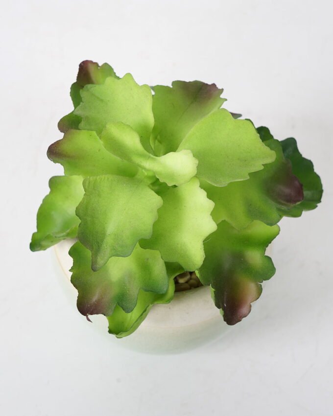 Artificial succulent 11*11*12cm Succulent in ceramic pot GS-51721122 Succulent YeahFlower is one of Chinese leading OEM manufacturers and exporters , supplying the silk flowers, wholesale artificial trees