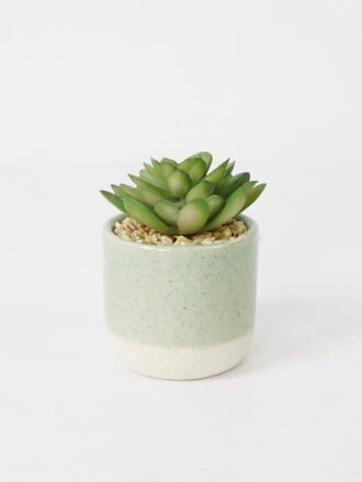 Artificial succulent 9*9*17cm Succulent in ceramic pot GS-51721121 Succulent 3,000+ sqm showroom with thousands of artificial flowers, plants & trees ready for global sourcing.