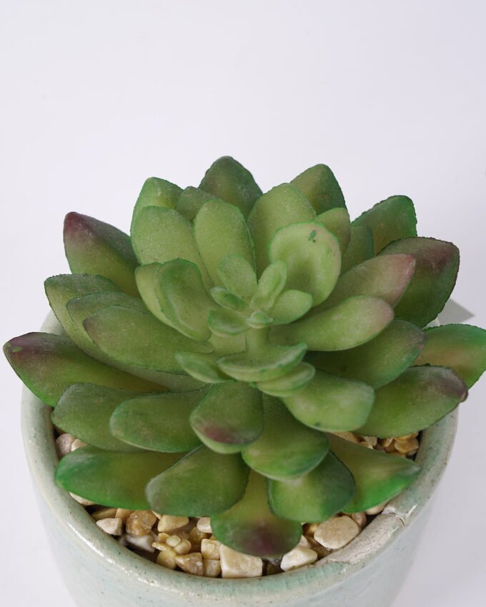 Artificial succulent 9*9*11cm Succulent in ceramic pot GS-51721124 Succulent YeahFlower is one of Chinese leading OEM manufacturers and exporters , supplying the silk flowers, wholesale artificial trees