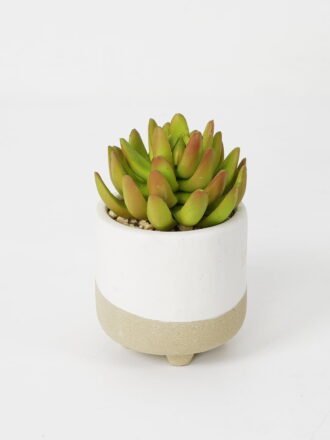 Artificial succulent 7*7*9cm Succulent in ceramic pot GS-51721128 Succulent 3,000+ sqm showroom with thousands of artificial flowers, plants & trees ready for global sourcing.