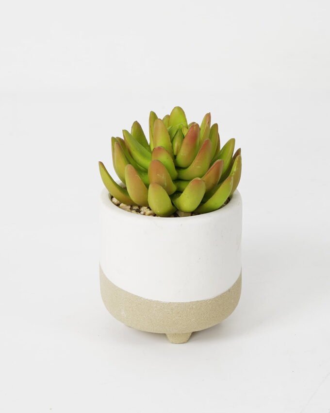 Artificial succulent 8*8*12cm Succulent in ceramic pot GS-51721125 Succulent YeahFlower is one of Chinese leading OEM manufacturers and exporters , supplying the silk flowers, wholesale artificial trees