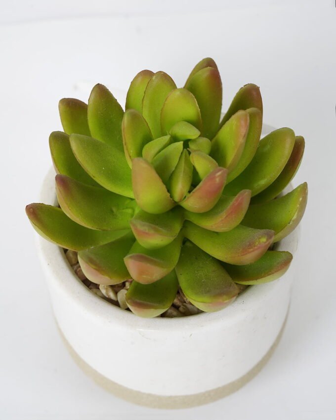 Artificial succulent 8*8*12cm Succulent in ceramic pot GS-51721125 Succulent YeahFlower is one of Chinese leading OEM manufacturers and exporters , supplying the silk flowers, wholesale artificial trees