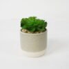 Artificial succulent 9*9*11cm Succulent in ceramic pot GS-51721126 Succulent YeahFlower is one of Chinese leading OEM manufacturers and exporters , supplying the silk flowers, wholesale artificial trees