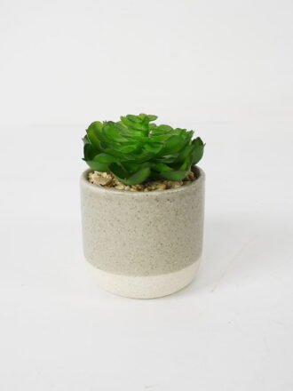 Artificial succulent 9*9*11cm Succulent in ceramic pot GS-51721124 Succulent 3,000+ sqm showroom with thousands of artificial flowers, plants & trees ready for global sourcing.