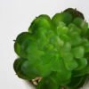 Artificial succulent 9*9*11cm Succulent in ceramic pot GS-51721126 Succulent YeahFlower is one of Chinese leading OEM manufacturers and exporters , supplying the silk flowers, wholesale artificial trees