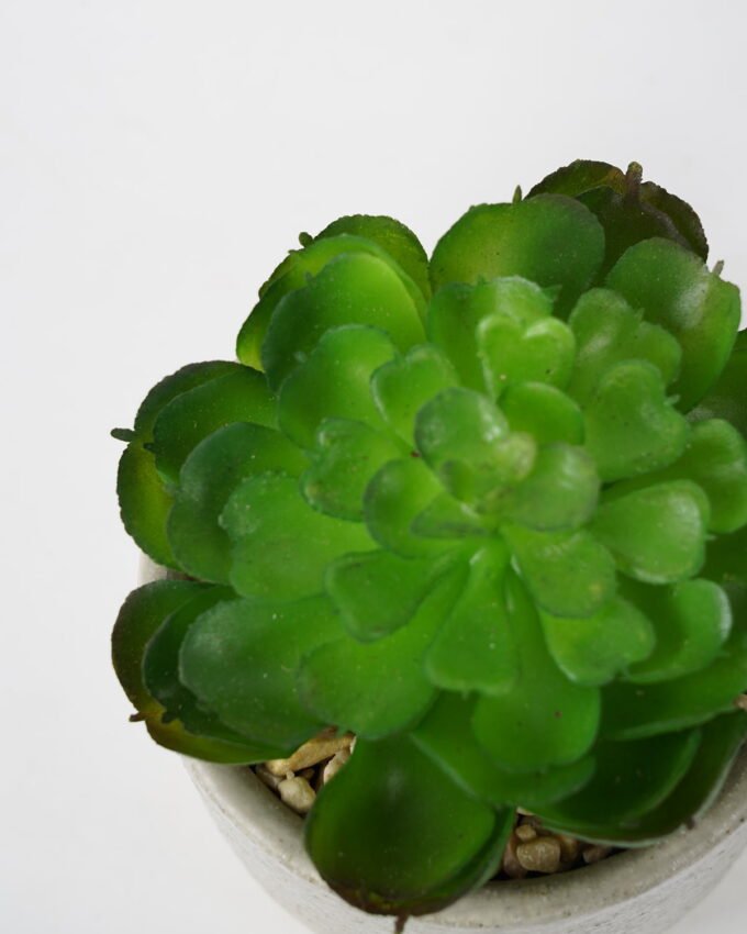 Artificial succulent 9*9*11cm Succulent in ceramic pot GS-51721126 Succulent YeahFlower is one of Chinese leading OEM manufacturers and exporters , supplying the silk flowers, wholesale artificial trees