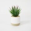 Artificial succulent 9*9*17cm Succulent in ceramic pot GS-51721127 Succulent YeahFlower is one of Chinese leading OEM manufacturers and exporters , supplying the silk flowers, wholesale artificial trees