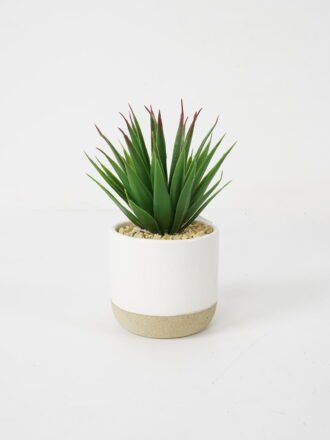 Artificial succulent 9*9*11cm Succulent in ceramic pot GS-51721126 Succulent 3,000+ sqm showroom with thousands of artificial flowers, plants & trees ready for global sourcing.