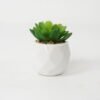 Artificial succulent 7*7*9cm Succulent in ceramic pot GS-51721128 Succulent YeahFlower is one of Chinese leading OEM manufacturers and exporters , supplying the silk flowers, wholesale artificial trees