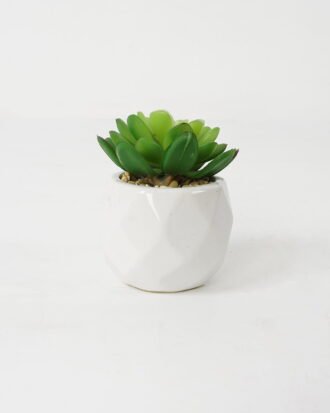 Artificial succulent 7*7*9cm Succulent in ceramic pot GS-51721128 Succulent YeahFlower is one of Chinese leading OEM manufacturers and exporters , supplying the silk flowers, wholesale artificial trees