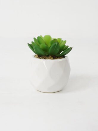 Artificial succulent 10*10*22cm Succulent in ceramic pot GS-51721131 Succulent 3,000+ sqm showroom with thousands of artificial flowers, plants & trees ready for global sourcing.