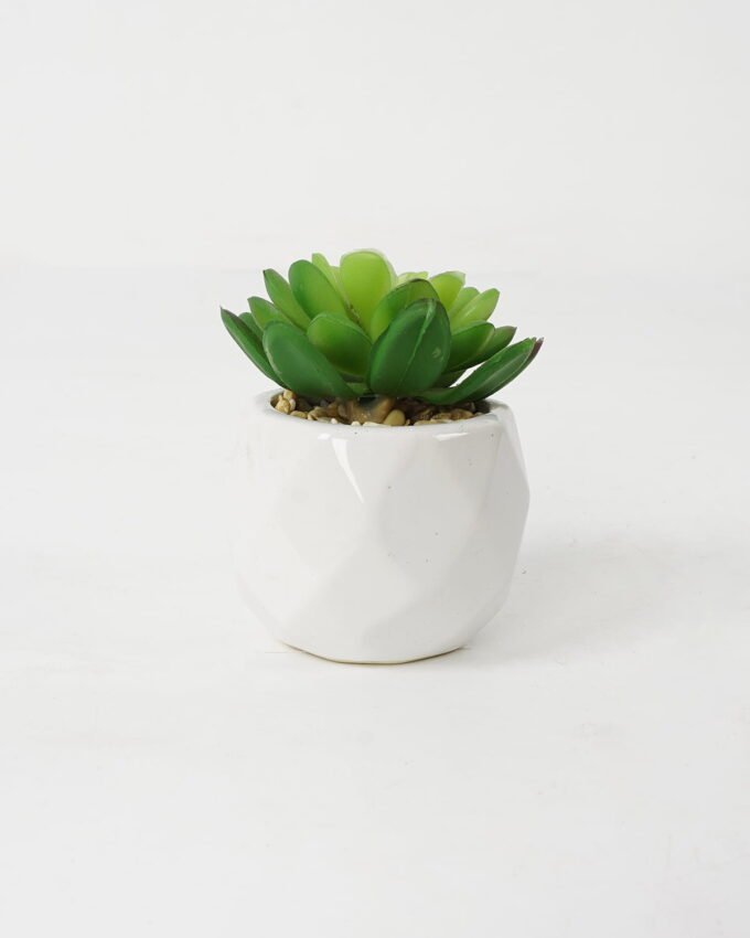 Artificial succulent 7*7*9cm Succulent in ceramic pot GS-51721128 Succulent YeahFlower is one of Chinese leading OEM manufacturers and exporters , supplying the silk flowers, wholesale artificial trees