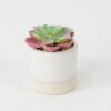 Artificial succulent 8*8*10cm Succulent in ceramic pot GS-51721129 Succulent YeahFlower is one of Chinese leading OEM manufacturers and exporters , supplying the silk flowers, wholesale artificial trees