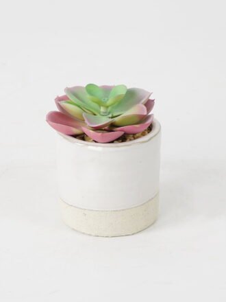 Artificial succulent 9*9*17cm Succulent in ceramic pot GS-51721127 Succulent 3,000+ sqm showroom with thousands of artificial flowers, plants & trees ready for global sourcing.
