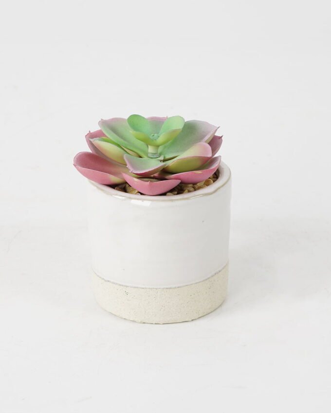 Artificial succulent 8*8*10cm Succulent in ceramic pot GS-51721129 Succulent YeahFlower is one of Chinese leading OEM manufacturers and exporters , supplying the silk flowers, wholesale artificial trees