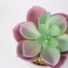 Artificial succulent 8*8*10cm Succulent in ceramic pot GS-51721129 Succulent YeahFlower is one of Chinese leading OEM manufacturers and exporters , supplying the silk flowers, wholesale artificial trees