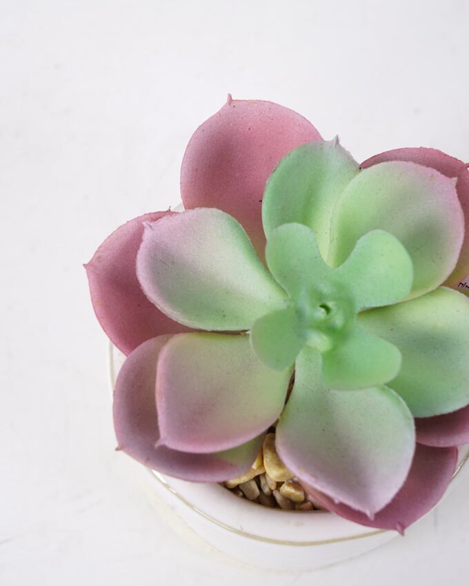 Artificial succulent 8*8*10cm Succulent in ceramic pot GS-51721129 Succulent YeahFlower is one of Chinese leading OEM manufacturers and exporters , supplying the silk flowers, wholesale artificial trees