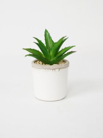 Artificial succulent 8*8*10cm Succulent in ceramic pot GS-51721129 Succulent 3,000+ sqm showroom with thousands of artificial flowers, plants & trees ready for global sourcing.