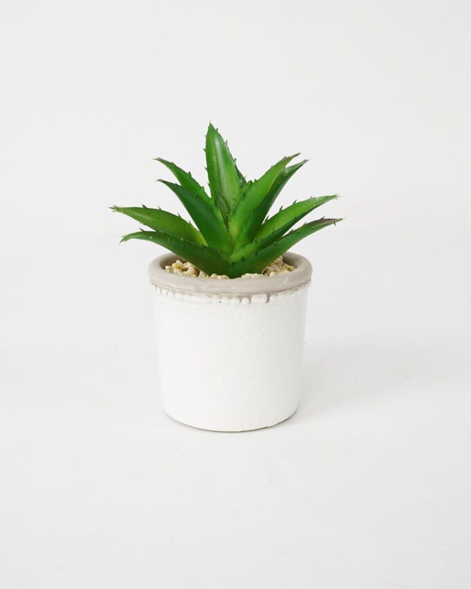 Artificial succulent 10*10*12cm Succulent in ceramic pot GS-51721130 Succulent YeahFlower is one of Chinese leading OEM manufacturers and exporters , supplying the silk flowers, wholesale artificial trees