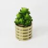 Artificial succulent 10*10*22cm Succulent in ceramic pot GS-51721131 Succulent YeahFlower is one of Chinese leading OEM manufacturers and exporters , supplying the silk flowers, wholesale artificial trees
