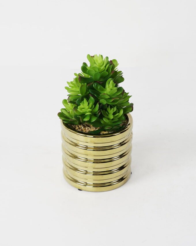 Artificial succulent 10*10*22cm Succulent in ceramic pot GS-51721131 Succulent YeahFlower is one of Chinese leading OEM manufacturers and exporters , supplying the silk flowers, wholesale artificial trees