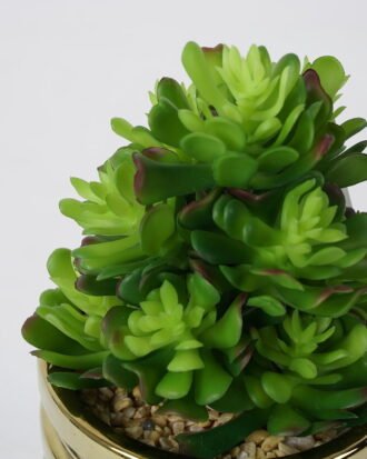 Artificial succulent 10*10*22cm Succulent in ceramic pot GS-51721131 Succulent YeahFlower is one of Chinese leading OEM manufacturers and exporters , supplying the silk flowers, wholesale artificial trees