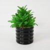 Artificial succulent 15*15*23cm Succulent in ceramic pot GS-51721132 Succulent YeahFlower is one of Chinese leading OEM manufacturers and exporters , supplying the silk flowers, wholesale artificial trees