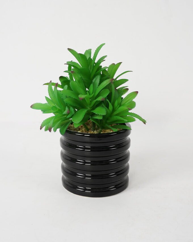 Artificial succulent 15*15*23cm Succulent in ceramic pot GS-51721132 Succulent YeahFlower is one of Chinese leading OEM manufacturers and exporters , supplying the silk flowers, wholesale artificial trees