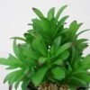Artificial succulent 15*15*23cm Succulent in ceramic pot GS-51721132 Succulent YeahFlower is one of Chinese leading OEM manufacturers and exporters , supplying the silk flowers, wholesale artificial trees